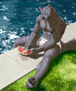 abs anthro barazoku bulge clothed clothing detailed_bulge eyebrows fangs food fruit fur genital_outline grass grey_body grey_fur holding_knife holding_object knife male melon muscular muscular_anthro muscular_male outside pecs penis_outline plant scar scars_all_over shirtless_male solo teeth underwear underwear_only water watermelon 567wzh elden_ring fromsoftware blaidd_(elden_ring) canid canine canis mammal wolf hi_res