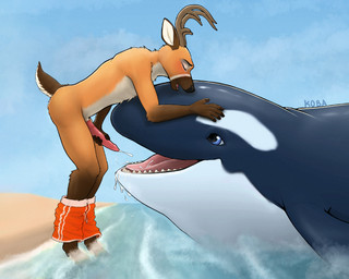 ambiguous_gender animal_genitalia animal_penis anthro anthro_on_feral antlers beach bestiality bodily_fluids cervine_genitalia cervine_penis clothing cum cum_drip cum_in_mouth cum_inside cum_on_tongue cumshot dripping duo ejaculation erection feral genital_fluids genitals horn larger_feral looking_pleasured male male/ambiguous male_on_feral masturbation open_mouth orgasm outside penile penile_masturbation penis sand scut_tail seaside short_tail simple_background size_difference smaller_anthro swimming_trunks swimwear tail tongue water koba koba_(koba) aquatic cervine cetacean deer dolphin mammal oceanic_dolphin orca toothed_whale absurd_res hi_res shaded signature