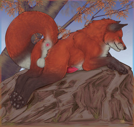 anatomically_correct anatomically_correct_genitalia anatomically_correct_penis animal_genitalia animal_penis anus backsack balls black_ears black_pawpads black_paws butt canine_genitalia canine_penis claws countershade_butt countershade_face countershade_fur countershade_torso countershading erection feet feral fluffy fluffy_tail forest forest_background fur genitals grass green_eyes leaf logo lying male male_feral nature nature_background on_front on_rock outside pawpads paws penis plant presenting presenting_anus presenting_hindquarters quadruped raised_tail red_body red_fur red_penis rock sky solo tail tail_anus toe_claws toes tree whiskers white_balls white_body white_countershading white_fur white_whiskers firefangdragon canid canine fox mammal red_fox true_fox 2024 artist_logo dated digital_media_(artwork) hi_res