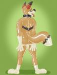 4_toes anthro black_nose blue_eyes bodysuit butt clothed clothing collar feet glistening green_background latex male markings open_mouth simple_background skinsuit solo teeth tight_clothing toes tongue tongue_out hornbuckle decafyote canid canine canis coyote mammal 2018 digital_drawing_(artwork) digital_media_(artwork)