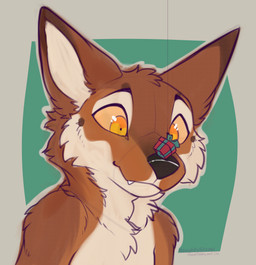 anthro big_ears cartoon_style expressive_eyes fluffy gift male present_on_nose simple_background smile smirk solo yellow_eyes naughtystray canid canine canis dhole mammal wolf headshot_(disambiguation) invalid_tag absurd_res bust_portrait digital_media_(artwork) hi_res portrait sketch