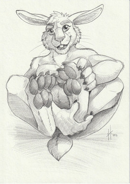anthro claws feet foot_focus front_view glistening glistening_pawpads head_tuft looking_at_viewer male male_anthro nude open_mouth open_smile pawpads scut_tail short_tail slim_anthro slim_male smile solo tail teeth toe_claws tuft whiskers hufnaar lagomorph leporid mammal rabbit 2017 dated hi_res monochrome sketch