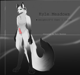 animal_genitalia animal_penis anthro canine_genitalia canine_penis fur genitals green_eyes knot kyle_meadows male nude penis slim solo standing text white_body white_fur canid canine fox mammal absurd_res english_text hi_res