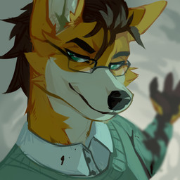 anthro black_eyebrows black_hair black_nose blurred_background cheek_tuft clothed clothing eyebrows facial_tuft fur glistening glistening_eyes green_clothing green_eyes green_topwear hair male mouth_closed narrowed_eyes orange_body orange_fur smile solo topwear tuft unsigned white_body white_clothing white_fur white_topwear corzh77 canid mammal 1:1 absurd_res bust_portrait hi_res icon portrait
