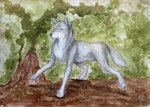 black_nose feral fur grey_body grey_fur logo male mouth_closed quadruped side_view solo standing tail tuft white_body white_fur kola_(artist) canid canine mammal 2010 artist_logo colored_pencil_(artwork) dated full-length_portrait painting_(artwork) portrait traditional_media_(artwork) traditional_painting_(artwork) traditional_watercolor_(artwork) watercolor_(artwork)