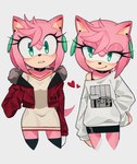 anthro clothing coat ear_piercing ear_ring female green_eyes looking_at_viewer piercing pink_body ring_piercing smile smiling_at_viewer solo sweater topwear kiikoi11 sega sonic_the_hedgehog_(series) amy_rose eulipotyphlan hedgehog mammal hi_res signature