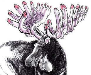 antlers canada cervine elix feral horn low_res male mammal moose solo what_has_science_done
Rating: Questionable
Score: 3
User: jinji
Date: January 22, 2010 antlers canada cervine elix feral horn low_res male mammal moose solo what_has_science_done
Rating: Questionable
Score: 3
User: jinji
Date: January 22, 2010
