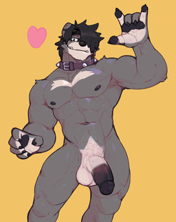 anthro balls big_penis biped black_hair collar collar_only front_view fur genitals grey_body grey_fur hair hair_over_eye heart_symbol humanoid_genitalia humanoid_penis male muscular muscular_anthro muscular_male nipples nude nude_anthro nude_male pawpads penis snaggle_teeth solo standing jrjresq marsh_(jrjresq) bear mammal hi_res sketch