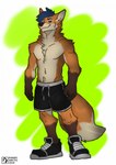 anthro athletic athletic_anthro blue_hair boots bottomwear bulge clothing footwear fur hair male orange_body orange_fur shoes shorts solo danny_arctic_(artist) canid canine fox mammal true_fox hi_res