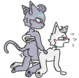 all_fours anal anal_penetration anthro bandage bandaged_chest bandaged_ear bandaged_tail belly black_nose blue_eyes blush butt butt_grab close_together doggystyle duo from_behind_position fur fur_markings glowing glowing_markings grabbing_from_behind grey_body hair hand_on_butt head_tuft kneeling long_hair male male/male markings moan nude nude_male open_mouth pawpads paws penetration penile penile_penetration sex short_hair tail thrusting tuft white_belly white_body white_fur nobuddy ponos_corp. the_battle_cats d'arktanyan_(the_battle_cats) d'artanyan_(the_battle_cats) domestic_cat felid feline felis mammal digital_media_(artwork) hi_res