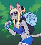 anthro backpack blonde_hair blue_eyes bottle bottomwear bra clothing collar container eyewear female fur glasses green_background grey_body grey_fur hair hiking hotpants long_hair navel round_glasses shorts simple_background solo tongue tongue_out underwear water_bottle bestfriendforever canid canine canis domestic_dog greyhound hunting_dog mammal sighthound hi_res