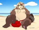 asian_clothing balls beach belly big_balls clothing east_asian_clothing fluffy fundoshi genitals huge_balls hyper hyper_balls hyper_genitalia japanese_clothing male moobs nipples overweight overweight_male pawpads sand seaside solo underwear duly_noted lifewonders tokyo_afterschool_summoners goemon_(tas) canid canine mammal raccoon_dog tanuki 2019