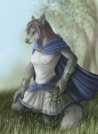 anthro biped bracelet claws cloak clothed clothing cloud female fur green_eyes grey_body grey_fur hair jewelry kneeling looking_at_viewer outside shirt sky solo tail topwear tunic rukis canid canine canis mammal wolf janus_(disambiguation) 2010