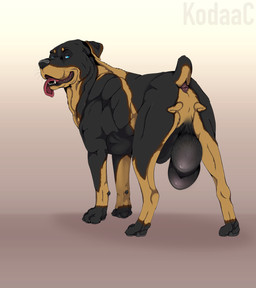 animal_genitalia anus balls big_balls black_balls black_body black_fur blue_eyes brown_anus fangs feral floppy_ears fur genitals huge_balls looking_at_viewer male male_feral narrowed_eyes open_mouth presenting presenting_anus presenting_balls quadruped raised_tail red_tongue scut_tail sheath short_tail solo tail tail_anus tan_body tan_fur teeth text thick_sheath tongue tongue_out whiskers kodaac canid canine canis domestic_dog mammal mastiff molosser rottweiler absurd_res artist_name hi_res