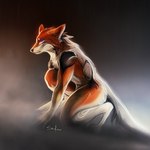 ambiguous_gender anthro black_body black_fur black_nose fur orange_body orange_fur solo safiru canid canine fox mammal 1:1 2022 digital_media_(artwork) hi_res