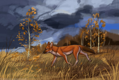 ambiguous_feral ambiguous_gender brown_tail cheek_tuft cloud facial_tuft feral fur grass mouth_closed orange_body orange_eyes orange_fur orange_tail outside plant side_view solo tail text tree tuft white_body white_fur heatherwolf canid canine dhole mammal hi_res url