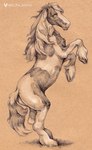 feral hair hooves on_two_legs pose quadruped side_view spots text unguligrade white_hair tass_the_bovine equid equine horse mammal artist_name brown_theme english_text full-length_portrait hatching_(art) hi_res portrait shaded simple_shading soft_shading warm_colors