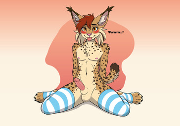 animal_genitalia anthro balls blush clothing femboy footwear genitals kneeling male nude_anthro nude_male penis purring sheath socks solo spread_legs spreading luciankall99 felid feline lynx mammal pantherine absurd_res hi_res
