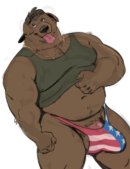 american_flag anthro backwards_baseball_cap backwards_hat balls baseball_cap brown_body brown_fur brown_hair clothed clothing clothing_lift cross cross_necklace ear_piercing ear_ring erection erection_under_clothing flag_underwear fur genitals gold_(metal) gold_jewelry gold_necklace hair hat headgear headwear jewelry male musclegut muscular muscular_anthro muscular_male navel necklace overweight overweight_anthro overweight_male penis penis_base piercing ring_piercing shirt shirt_lift simple_background solo standing tank_top tongue tongue_out topwear underwear united_states_of_america white_background dramamine canid canine canis domestic_dog mammal hi_res