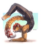 anthro arm_tuft barefoot big_butt black_bodysuit black_clothing black_nose black_skinsuit blue_eyes bodysuit brown_markings brown_spots bulge butt cheetah cheetahpaws cheetahpaws_(character) claws closed_smile clothed clothed_anthro clothed_male clothing cute_fangs dipstick_tail ear_piercing ear_ring elbow_tuft fangs feet felid feline finger_claws fingerless_(marking) fingers full-length_portrait fur hair hi_res long_tail looking_aside looking_at_viewer male male_anthro mammal markings mouth_closed piercing plantigrade portrait pose red_ears red_hair red_markings red_stripes ring_(marking) ring_piercing ringed_tail scorpion_(position) side_view signature simple_background skinsuit smile smiling_at_viewer solo spots spotted_body spotted_fur spotted_markings spotted_tail striped_markings striped_tail stripes suggestive tail tail_markings teeth tight_clothing toe_claws toeless_(marking) toes tuft unitard whiskers white_background white_fingers white_inner_ear white_markings white_stripes white_tail_tip white_toes yellow_body yellow_fur yoga