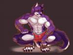 abs anthro biceps big_muscles black_hair black_nose bulge claws clothed clothing crouching ear_piercing fur hair male muscular muscular_anthro muscular_male pecs piercing purple_body purple_fur purple_hair rope simple_background smile solo toe_claws topless underwear white_body white_fur istani shyloc canid canine canis fox hybrid mammal wolf 2013 hi_res