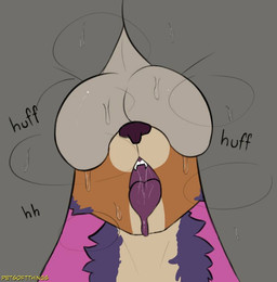 anthro ball_worship balls balls_on_face bodily_fluids body_worship breath butt duo genital_worship genitals male male/male musk panting purple_tongue sniffing sweat sweaty_balls sweaty_butt sweaty_genitalia these_aren't_my_glasses tongue tongue_out petsoftthings bolero_(character) canid canine canis coyote mammal meme