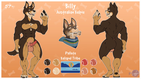4_toes 5_fingers animal_genitalia animal_penis anthro backsack balls bone border brown_body brown_eyes canine_genitalia canine_penis color_swatch feet fingers flag front_view genitals knot male muscular muscular_male penis rear_view simple_background solo tan_body text toes white_border yanidesu billy_the_kelpie australian_kelpie canid canine canis domestic_dog herding_dog mammal pastoral_dog sheepdog 16:9 4k absurd_res english_text headshot_portrait hi_res model_sheet portrait widescreen