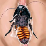 bodily_fluids cum cum_inside duo female female/female feral formicophilia genital_fluids teasing lonpo arthropod blattodea cockroach human insect madagascar_hissing_cockroach mammal 1:1