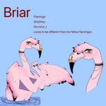 anthro big_breasts blush breasts clothed clothing feathers female hair pink_body pink_feathers simple_background solo tail text maiseyissilly avian bird flamingo 1:1 2023 digital_media_(artwork) english_text hi_res nonbinary_(lore)