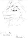 2023 absurd_res artist_name character_name dinosaur extinct feather_hair feathers frowning_at_viewer graphite_(artwork) hi_res looking_at_viewer male monochrome pencil_(artwork) prehistoric_species pseudo_hair ranoa02 reptile scalie sebek_(adarkpassenger) solo traditional_media_(artwork)