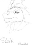 2023 absurd_res artist_name character_name dinosaur feather_hair feathers frowning_at_viewer graphite_(artwork) hi_res looking_at_viewer male monochrome pencil_(artwork) prehistoric_species pseudo_hair ranoa02 reptile scalie sebek_(adarkpassenger) solo traditional_media_(artwork)