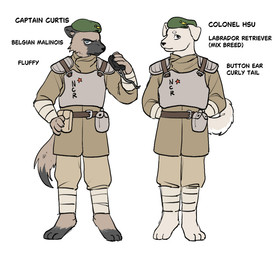 anthro beret brown_body brown_fur clothing duo fur hat headgear headwear male military_uniform ncr_soldier new_california_republic new_vegas paws simple_background snout standing tail tan_body tan_fur text uniform wearing_hat white_background uselessmossball fallout microsoft captain_curtis colonel_hsu bird_dog canid canine canis domestic_dog herding_dog hunting_dog labrador malinois_dog mammal pastoral_dog retriever sheepdog english_description english_text