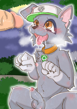 5_fingers anthro anthrofied balls balls_blush belly_blush biped blush blush_lines bodily_fluids body_blush cheek_tuft chest_tuft claws clothing collar crouching disembodied_penis dripping drooling duo ear_blush erection facial_tuft fangs finger_claws fingers floppy_ears foreskin fur genital_fluids genitals glans glistening glistening_balls glistening_genitalia glistening_penis gloves_(marking) grass green_clothing green_hat green_headwear grey_balls grey_body grey_fur grey_penis hat headgear headwear humanoid_genitalia humanoid_penis male male/male male_anthro markings moon mostly_nude mostly_nude_anthro mostly_nude_male motion_lines multicolored_clothing multicolored_hat multicolored_headwear navel night nipples notched_ear open_mouth orange_collar orange_eyes outline outside partially_retracted_foreskin penis pink_glans pink_inner_ear pink_nipples plant precum precum_drip saliva teeth tongue tongue_out tuft vein veiny_penis white_clothing white_hat white_headwear white_outline young young_anthro young_male suzuinu paw_patrol rocky_(paw_patrol) canid canine canis domestic_dog mammal mixed_breed 2024 digital_media_(artwork) hi_res