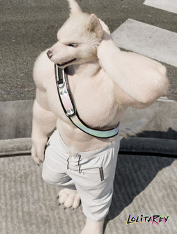 4_toes abs anthro barazoku barefoot bottomwear breasts claws clothing crosswalk feet fur hand_behind_head high-angle_view looking_aside male muscular open_mouth outside pants plantigrade realistic shirtless_male sling_bag solo toe_claws toes white_bottomwear white_clothing white_pants lolitarey canid canine canis mammal wolf 3d_(artwork) absurd_res blender_(artwork) digital_media_(artwork) hi_res
