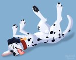 anatomically_correct animal_genitalia black_paws black_spots collar eyes_closed feral fur genitals lying male on_back paws sheath solo spots tongue tongue_out white_body white_fur nauticalcanine 101_dalmatians disney patch_(101_dalmatians) canid canine canis dalmatian domestic_dog mammal absurd_res hi_res