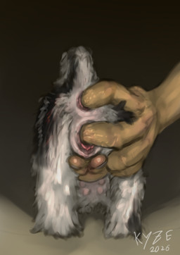 anal anal_fingering anal_penetration anal_tugging anatomically_correct anatomically_correct_genitalia anatomically_correct_vulva anus ass_up bestiality black_body black_fur butt dominant double_fingering double_penetration duo female feral feral_penetrated fingering fur genitals human_on_feral human_penetrating human_penetrating_feral interspecies larger_dom nipples orifice_tugging penetration sex simple_background size_difference smaller_female smaller_penetrated vaginal vaginal_fingering vaginal_penetration vaginal_tugging vulva white_body white_fur el_kyze apso canid canine canis domestic_dog human lhasa_apso mammal toy_dog hi_res