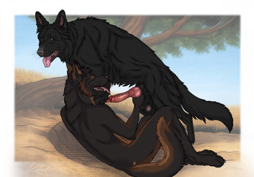 animal_genitalia animal_penis anthro anthro_on_feral balls bestiality black_balls black_body black_fur black_tail blue_sky brown_body brown_eyes brown_fur brown_tail canine_genitalia canine_penis duo erection fangs feral fur genitals knot knotted_penis male male/male narrowed_eyes nude open_mouth outside penis pink_tongue plant purple_eyes red_penis side_view sky tail teeth tongue tongue_out tree kodaac canid canine mammal detailed hi_res