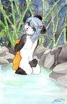 anthro bamboo blue_eyes blue_hair blush butt female fur hair hot_spring looking_back nude onsen partially_submerged rear_view solo water white_body white_fur j3t momo_(j3t) bear giant_panda mammal momo_(disambiguation) 2020 painting_(artwork) traditional_media_(artwork) watercolor_(artwork)