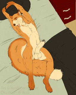 anthro armpit_tuft balls bed countershade_balls countershade_crotch countershade_face countershade_genitalia countershade_tail countershade_torso countershading erection foreskin frenulum fur furniture genitals glans high-angle_view humanoid_genitalia humanoid_penis looking_at_viewer lying male male_anthro morning_wood neck_tuft nude nude_anthro nude_male on_back on_bed open_mouth orange_body orange_fur penis pillow retracted_foreskin solo tail tan_body tan_fur teeth tongue tuft whiskers yawn themutt blott eurasian_red_squirrel mammal rodent sciurid tree_squirrel 2015 4:5 hi_res