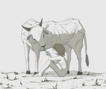 ambiguous_gender duo emaciated feral flower food male nude offering_food plant ribs starving avogado6 bovid bovine cattle humanoid mammal 6:5 absurd_res hi_res