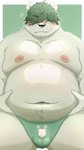 anthro belly big_belly bulge clothing green_hair hair hair_over_eyes humanoid_hands kemono male moobs navel nipples overweight overweight_male solo underwear menmen_kesinn bear mammal 2023 9:16 hi_res