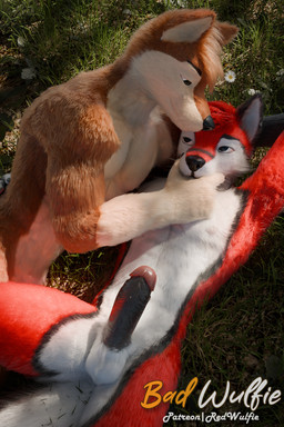 5_fingers anthro balls biped black_claws black_nose blue_eyes brown_body brown_fur claws cuddling digitigrade duo evening fingers fluffy fur genitals gloves_(marking) grass hair male male/male male_anthro markings nude pawpads paws penile penis plant public realistic red_body red_fur romantic romantic_couple sky sun tail tree whiskers white_body white_fur white_whiskers red_wulfie blender_cycles mutt_(wagnermutt) red_(red_wulfie) canid canine canis domestic_dog mammal wolf 2:3 3d_(artwork) blender_(artwork) digital_media_(artwork) hi_res watermark