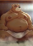 anthro balls belly big_belly flaccid genitals kemono male moobs navel nipples overweight overweight_male penis sauna solo steam towel translucent_towel tori2tea bear mammal 2024 hi_res