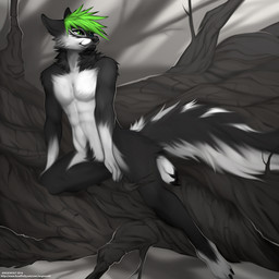anthro black_body black_fur black_nose blue_eyes countershading detailed_background fluffy forest fur green_eyes green_hair hair heterochromia log male outside plant solo tree white_body white_fur wood angiewolf shoxxy canid canine mammal 1:1 2016 digital_media_(artwork) shaded