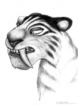 borelius_argatius feline female feral ice_age looking_at_viewer plain_background sabertooth shira_(ice_age) smilodon solo tiger
Rating: Safe
Score: 1
User: charlie210
Date: July 28, 2012