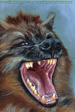 anthro brown_body brown_eyes brown_fur detailed_fur detailed_tongue fur grey_background laugh male mouth_shot open_mouth realistic sharp_teeth simple_background solo teeth text tongue whiskers white_body white_fur green_roon hyena mammal 2019 colored detailed oil_painting_(artwork) painting_(artwork) traditional_media_(artwork) traditional_painting_(artwork) url