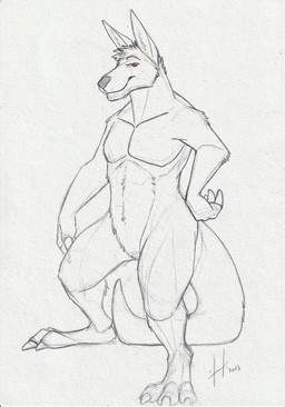 anthro arm_tuft claws closed_smile elbow_tuft featureless_crotch hand_on_hip head_tuft looking_at_viewer male male_anthro mouth_closed narrowed_eyes nude pecs shoulder_tuft smile solo standing tail toe_claws tuft hufnaar kangaroo macropod mammal marsupial 2017 absurd_res dated full-length_portrait hi_res monochrome portrait sketch