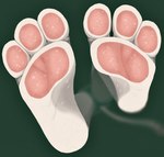 3_toes against_surface anthro barefoot big_feet cat_paws feet female foot_focus foot_shot fur glass hindpaw huge_feet humanoid_feet low-angle_view on_glass pawpads paws pink_pawpads plantigrade pressed_against soles solo toes white_body white_fur worm's-eye_view kariii paige_(kariii) domestic_cat felid feline felis mammal absurd_res hi_res