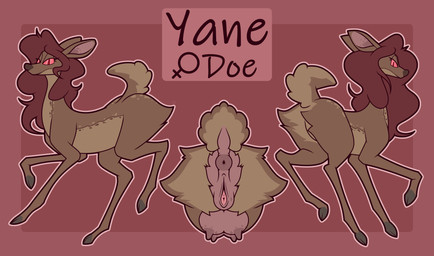 animal_genitalia animal_vulva anus brown_body brown_fur brown_hair equine_genitalia equine_vulva female female_feral feral fur genitals hair long_hair red_eyes red_sclera side_view simple_background solo tail teats text udders vulva ikakins deer mammal absurd_res character_name flat_colors hi_res