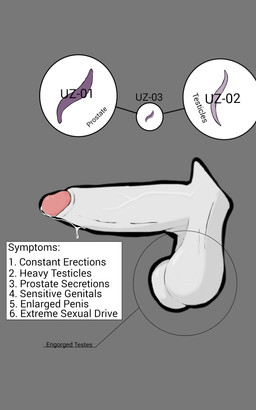 balls big_balls big_penis bodily_fluids chart diagram disembodied_penis erection foreskin genital_fluids genitals humanoid_genitalia humanoid_penis infestation infesticles male parasite penis precum retracted_foreskin simple_background solo text vein veiny_penis eatmybuns aquatic cetacean dolphin mammal oceanic_dolphin orca toothed_whale 5:8 english_text hi_res